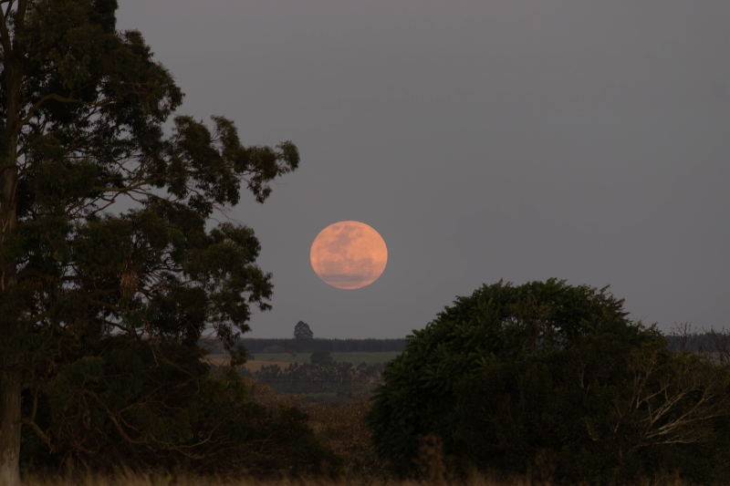 como fotografar a lua