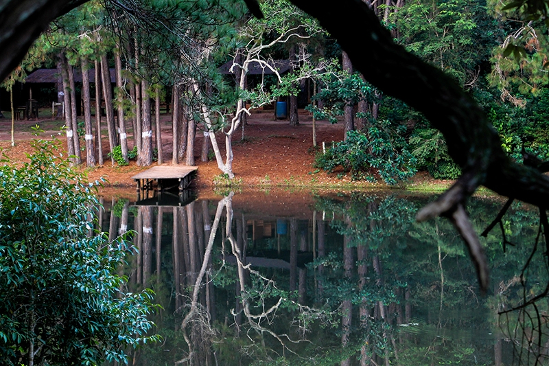 composição fotografia Simetria e Reflexos