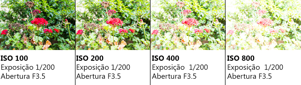 Sequencia de fotos com a exposição 1/200 do ISO 100 ao ISO 800