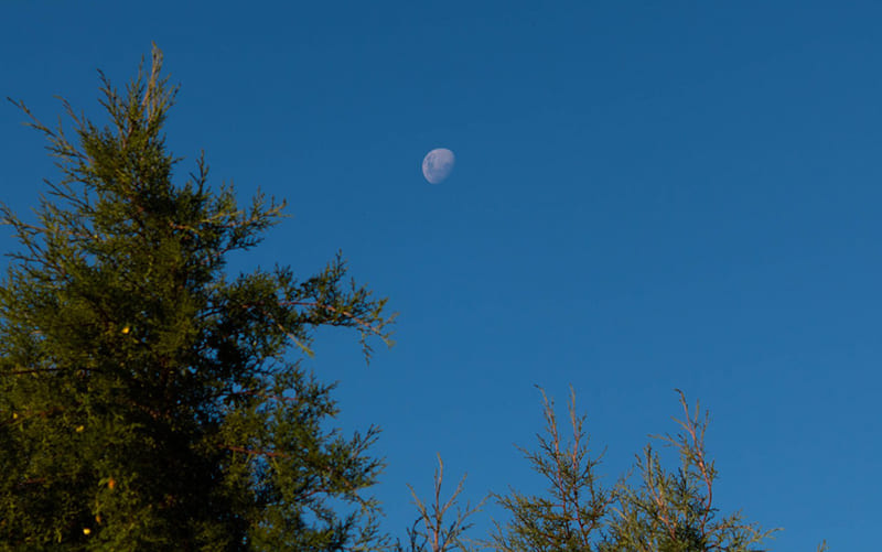 fotografia da lua diurna usando lente 55mm com uma canon Rebel t7