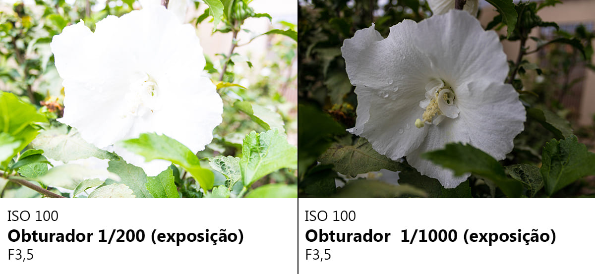 diferentes tempo de exposição com a mesma luz